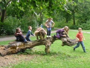 Kinder turnen auf einem Baumstamm.