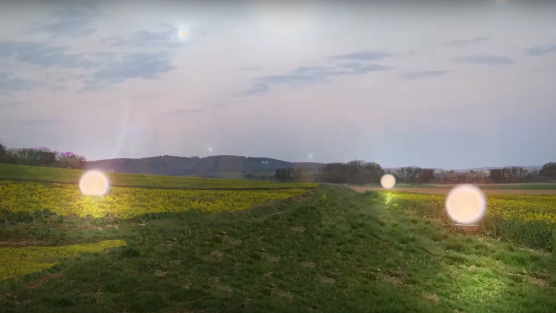 Ein grünes Feld unter grauem Himmel. Auf dem Feld sind mehrere Lichtpunkte zu sehen.
