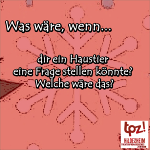 Türchen 15, Zitat: "Was wäre, wenn dir ein Haustier eine Frage stellen könnte? Welche wäre das?"