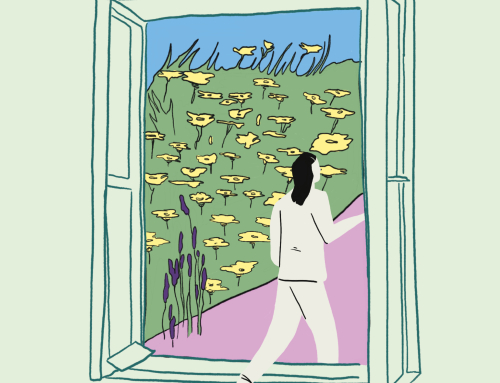 Öffne das Fenster zur Welt